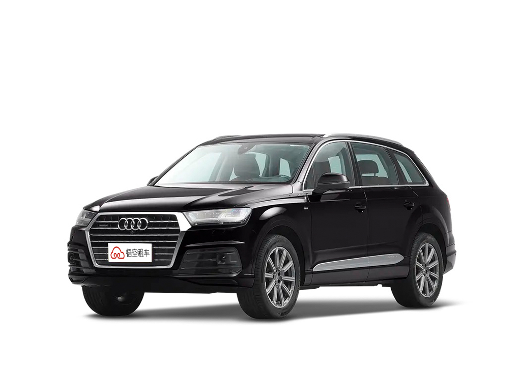 奥迪Q7 2016款 40 TFSI S line运动型