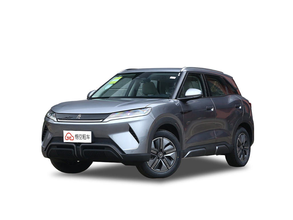 元UP 2024款 301KM 领先型