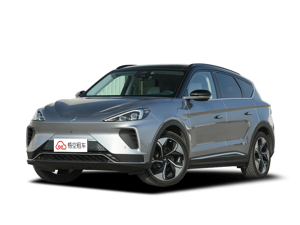 极狐 阿尔法T(ARCFOXaT)2021款 480S 160kW