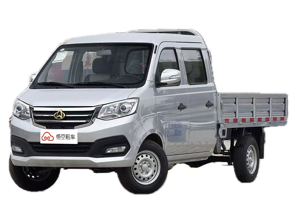 新豹T3 2018款 1.5L标准型双排后单轮标准货箱DK15C