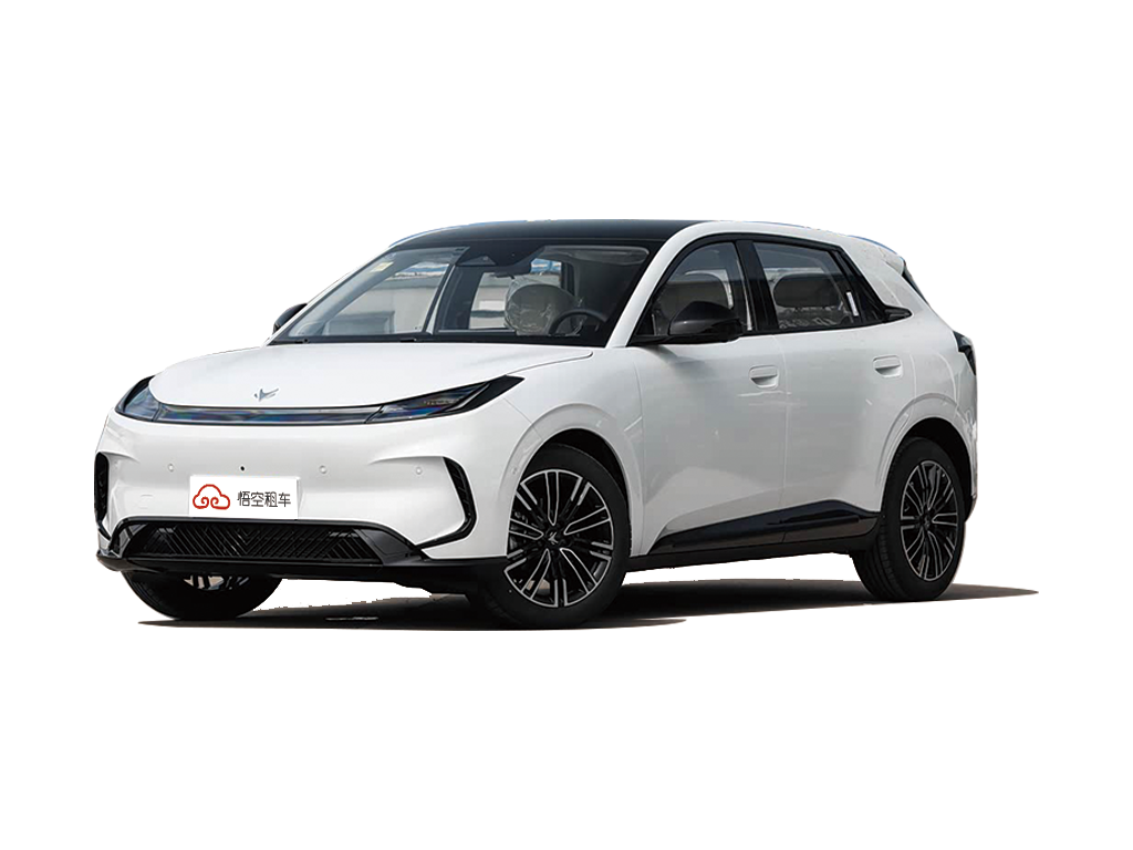 极狐T1 2025款 320 PRO