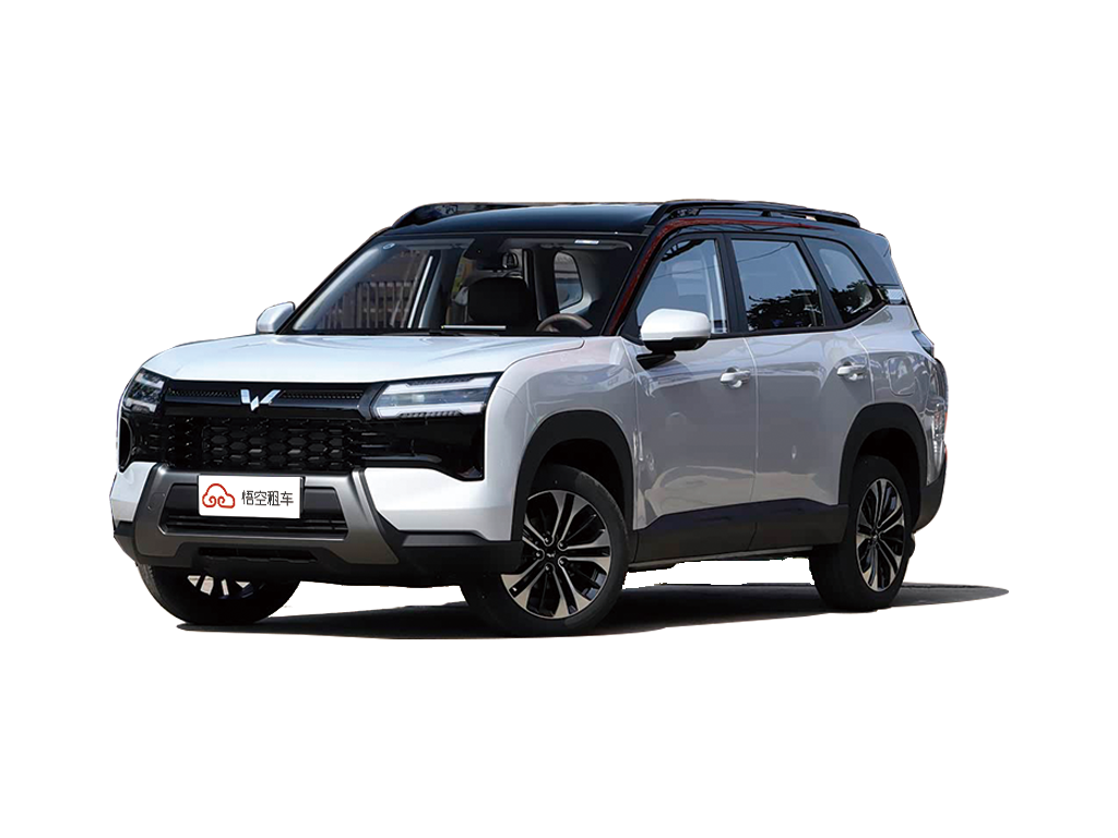 星光560新能源 2026款 插混 125km 豪华型