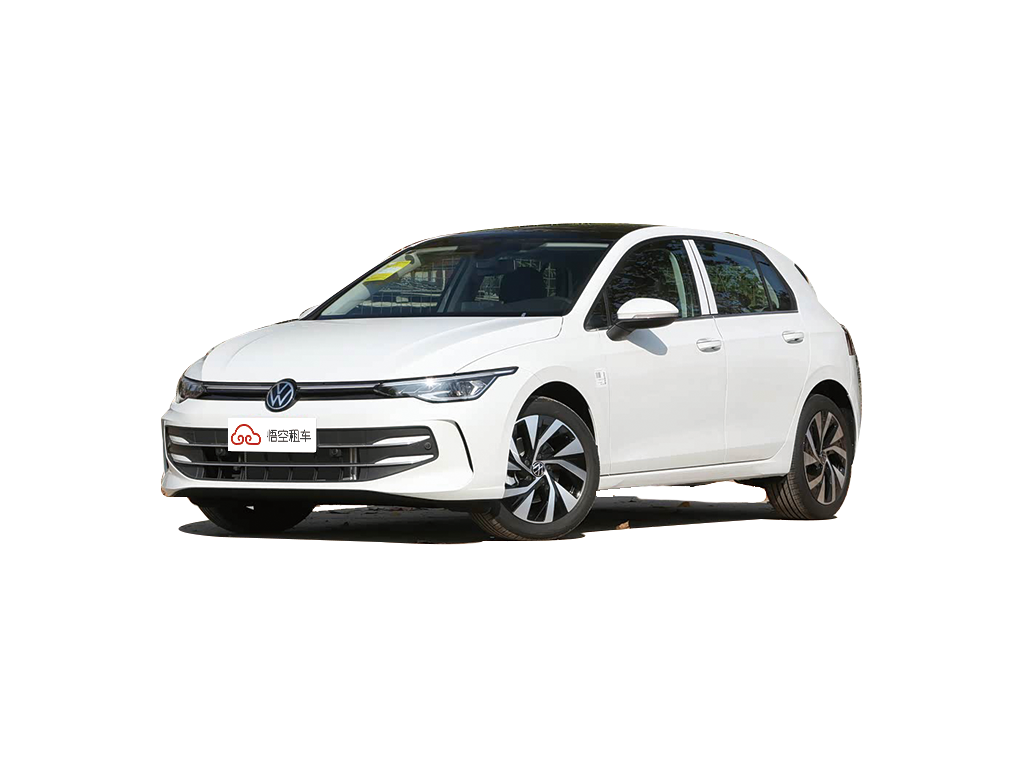 高尔夫 2025款  300TSI  Pro