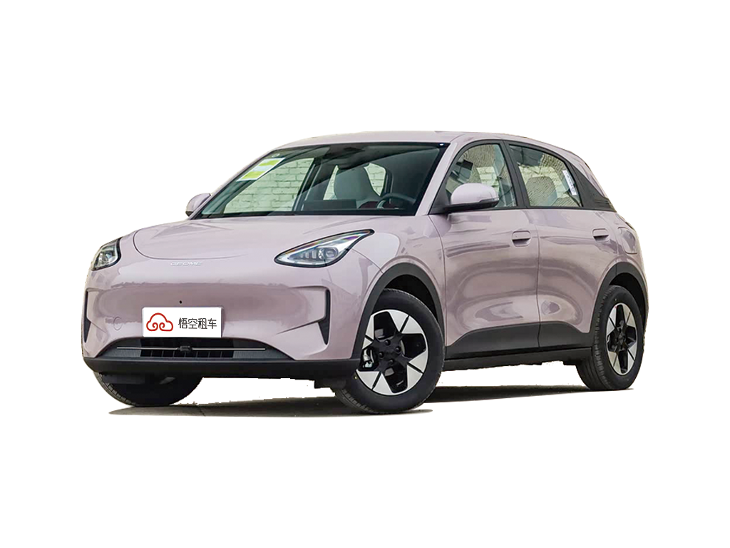 星愿  2026款  410km  自在版