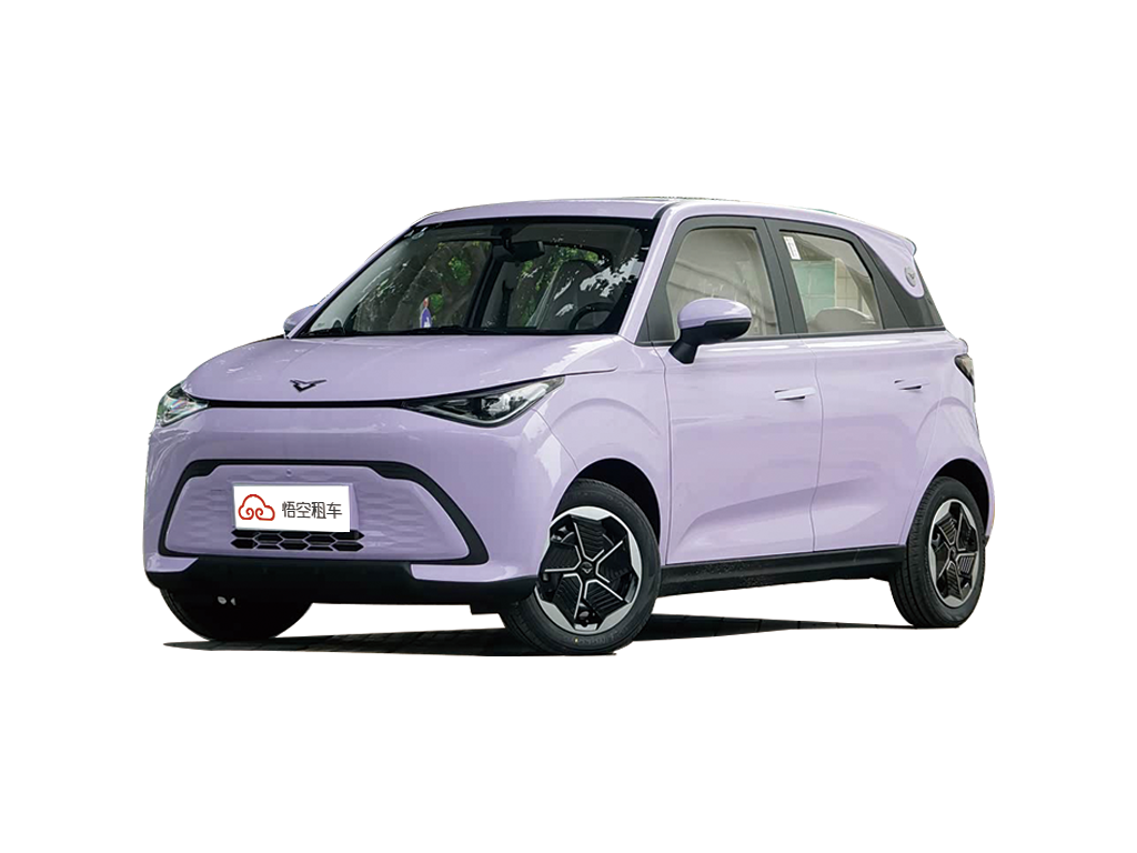 凯翼拾月 2026款 max 310km 如愿版